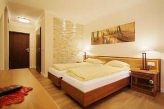 Курортные отели Dolina Leśnicy SKI & SPA Resort Бренна Двухместный номер с 1 кроватью или 2 отдельными кроватями-4